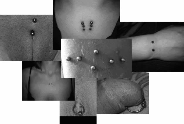 Piercingpreise Intimpiercing Crazy Ink tattoo Berlin