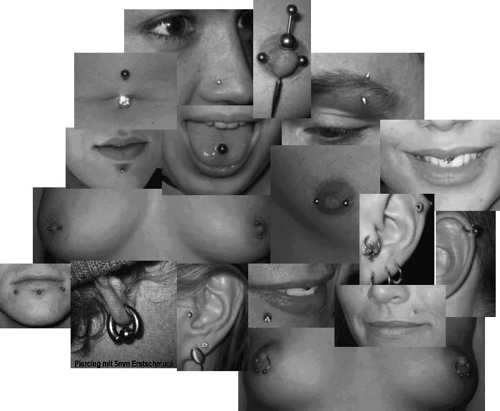 Piercingpreise Standardpiercing Crazy Ink tattoo Berlin